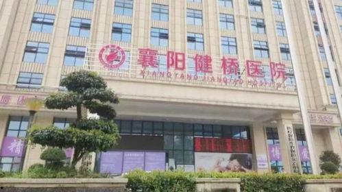 襄阳健桥医院最新爆料,揭秘医疗行业潜规则与真相